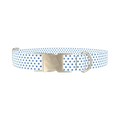 Blue Polka Dot Dog Collar - metal silver