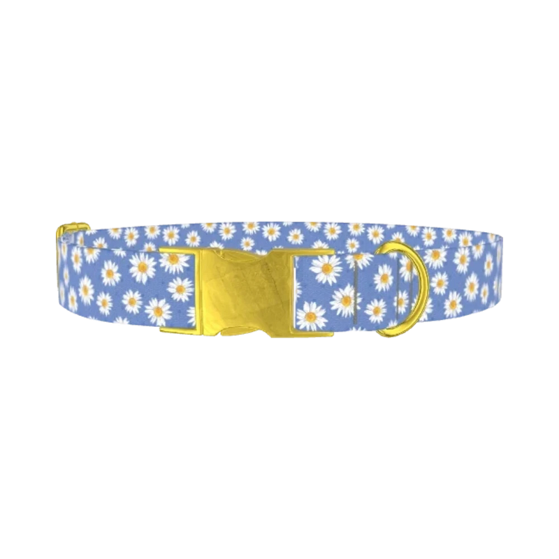 Blue Polka Dot Daisy Dog Collar - metal gold