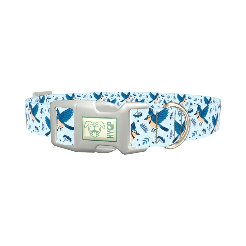 Bluejay Bird Dog Collar - plastic silver