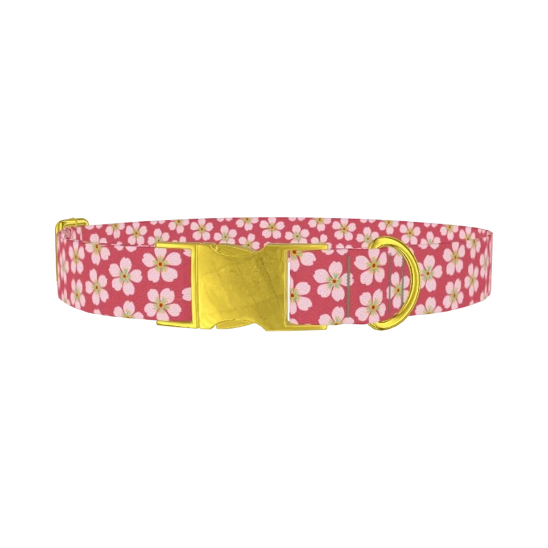 Sakura Floral Dog Collar - metal gold