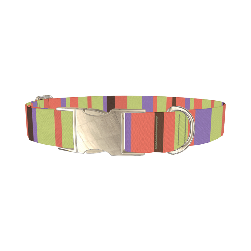 Green Striped Dog Collar - metal silver
