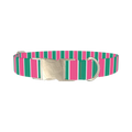 Pink and Green Stripe Dog Collar - metal silver