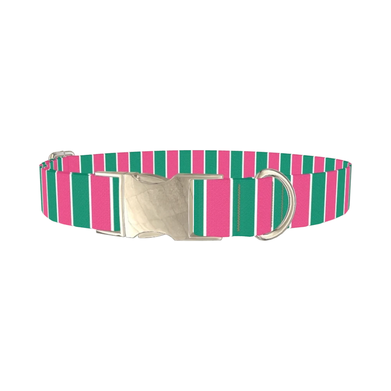 Pink and Green Stripe Dog Collar - metal silver