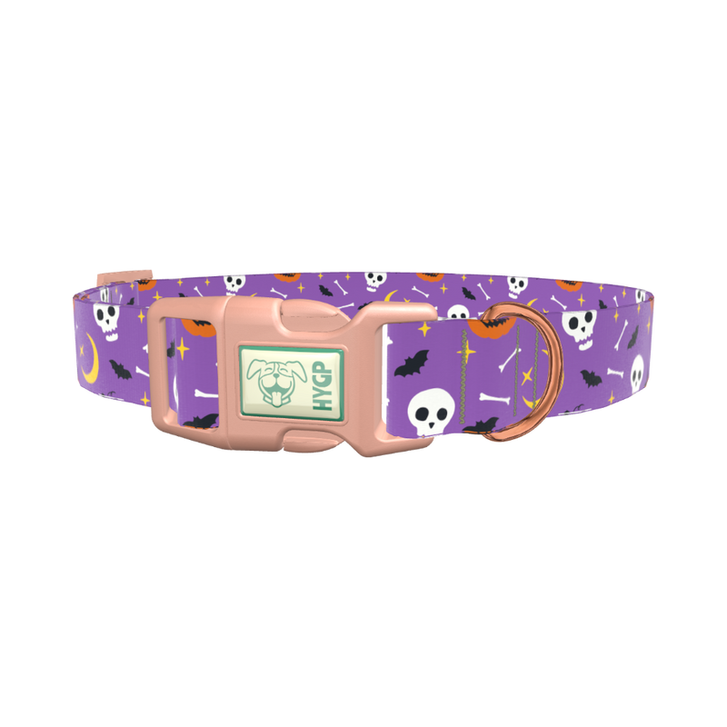 Halloween Moon Dog Collar - plastic gold