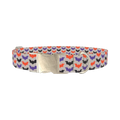 Colorful Bat Pattern Dog Collar - metal silver