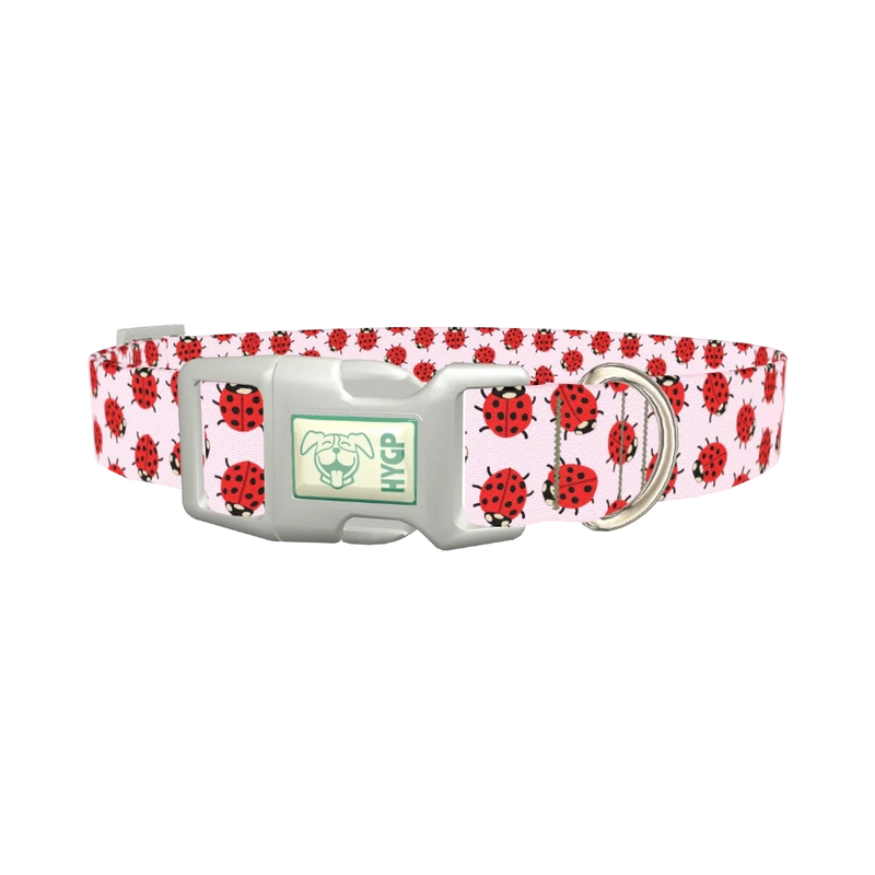 Ladybug Print Dog Collar - plastic silver