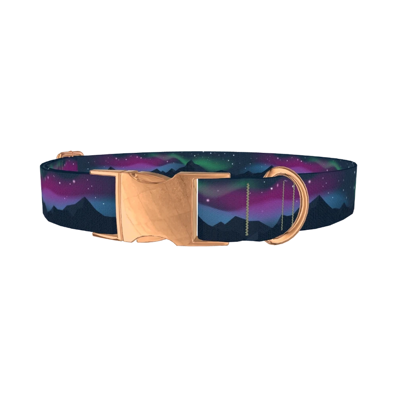 Northern Lights Dog Collar - metal rose gold