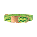 Lime Clover Pattern Dog Collar - metal silver