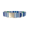 Blue Woven Stripe Dog Collar - metal gold