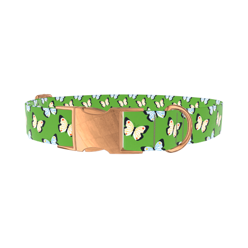 BUTTERFLY_GREEN