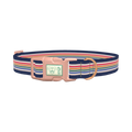 Dark Blue Rainbow Stripe Dog Collar - plastic rose gold