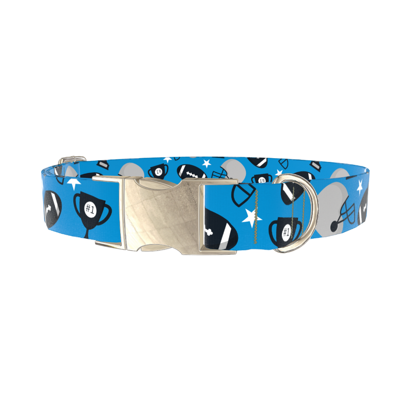 Blue Football Trophy Dog Collar - metal silver