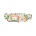 Sunny Cactus Dog Collar - plastic rose gold