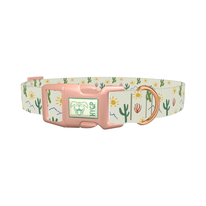 Sunny Cactus Dog Collar - plastic rose gold