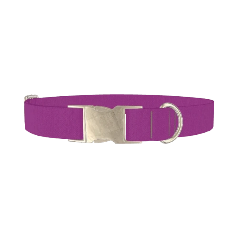 Purple Cactus Flower Color Dog Collar - metal silver