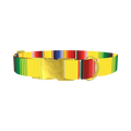 Yellow Mexican Stripe Dog Collar - metal gold