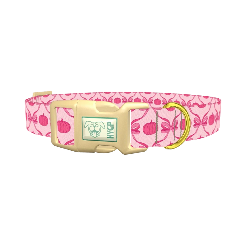 Halloween Pink Pumpkin Dog Collar - plastic gold