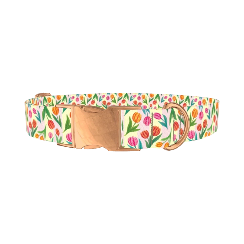 Floral Tulip Stripes Dog Collar - metal rose gold