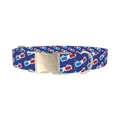 Cinema Glasses Dog Collar - metal silver
