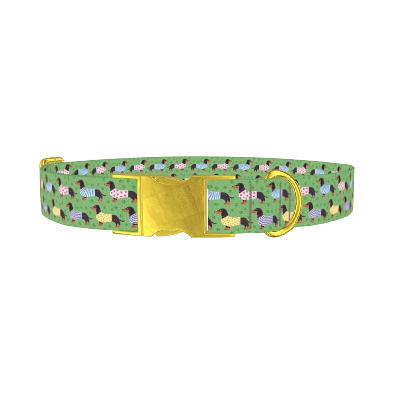 Green Dachshund Sweater Dog Collar - metal gold