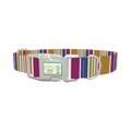 Purple Blue Green Stripes Dog Collar - plastic silver