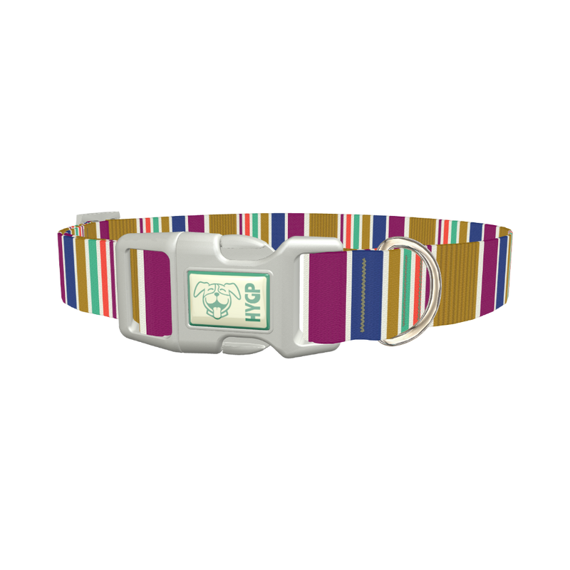 Purple Blue Green Stripes Dog Collar - plastic silver