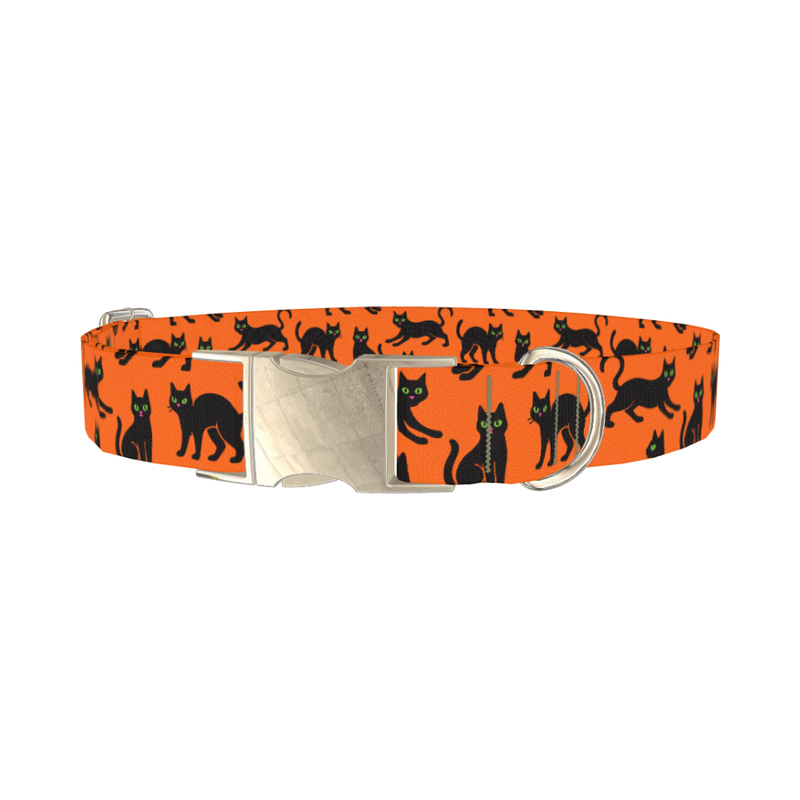 Halloween Black Cat Dog Collar - metal silver