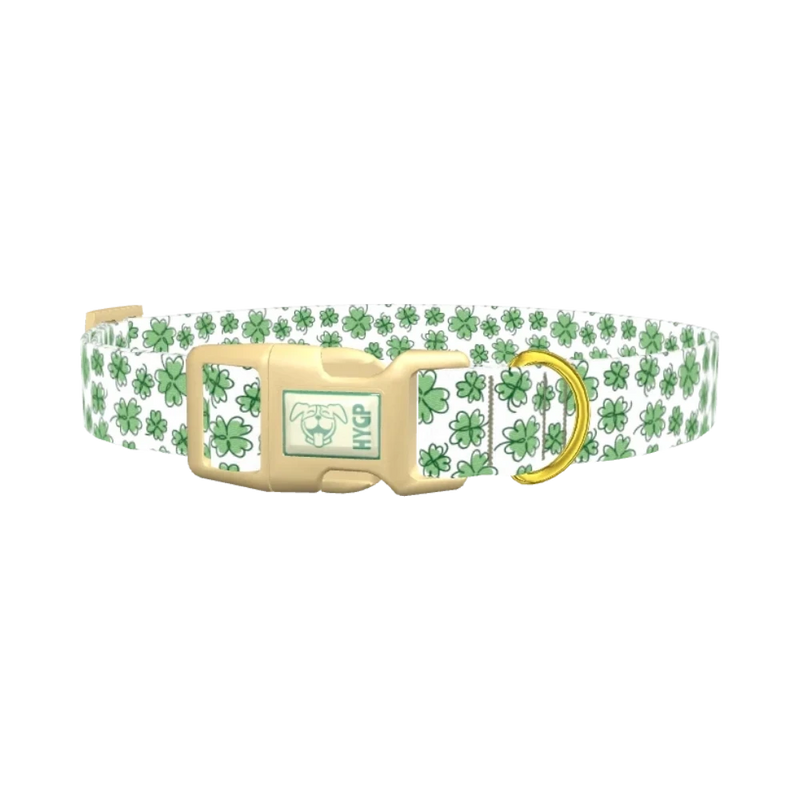 Green Clover Dog Collar - plastic gold