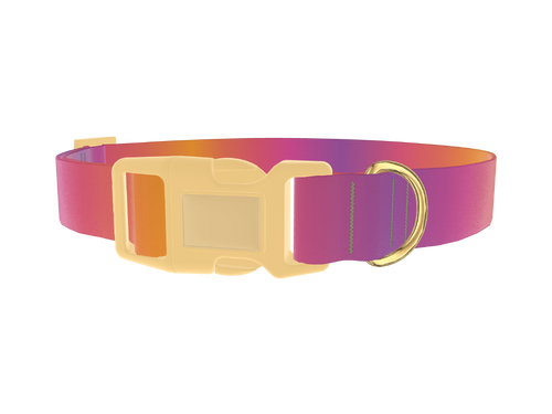Gradient Pattern Dog Collar