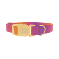 Gradient Pattern Dog Collar - plastic gold