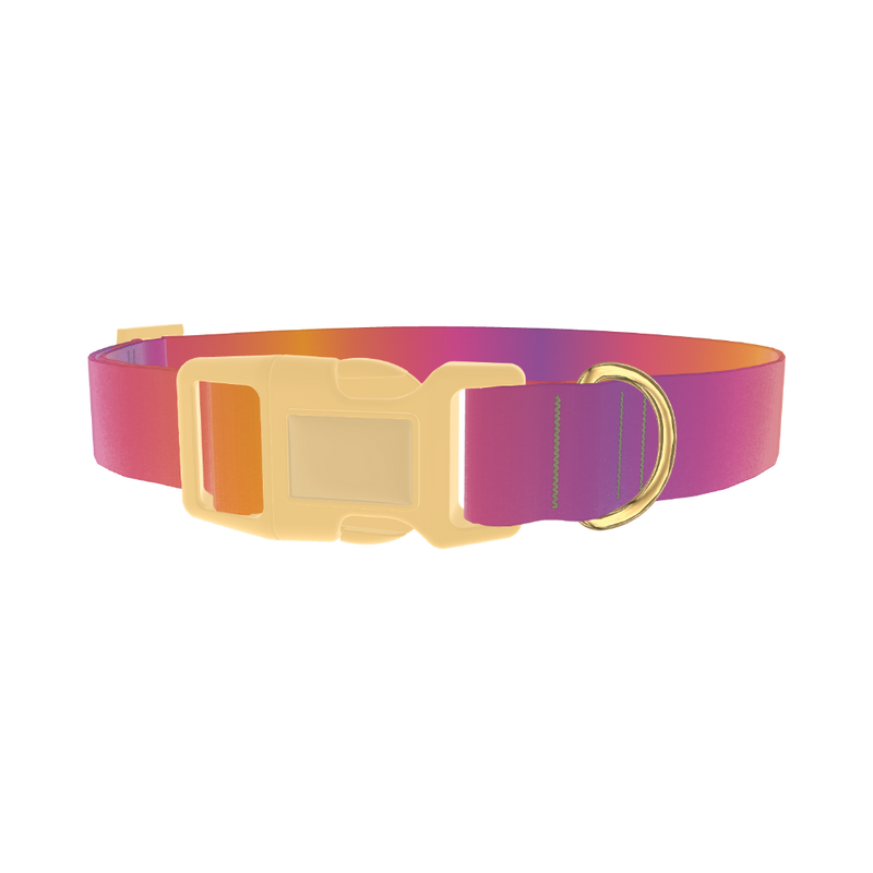Gradient Pattern Dog Collar - plastic gold