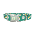 Teal Sushi Roll Dog Collar - plastic silver