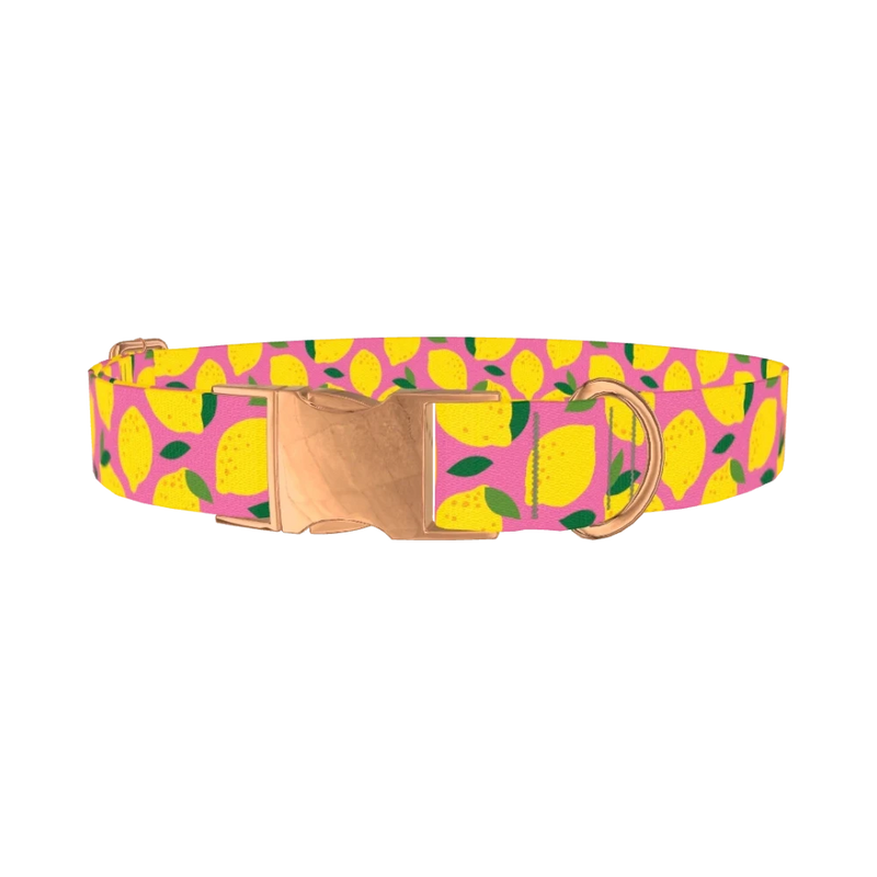 Pink Lemon Pattern Dog Collar - metal rose gold