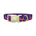 Tropical Sunset Dog Collar - plastic gold