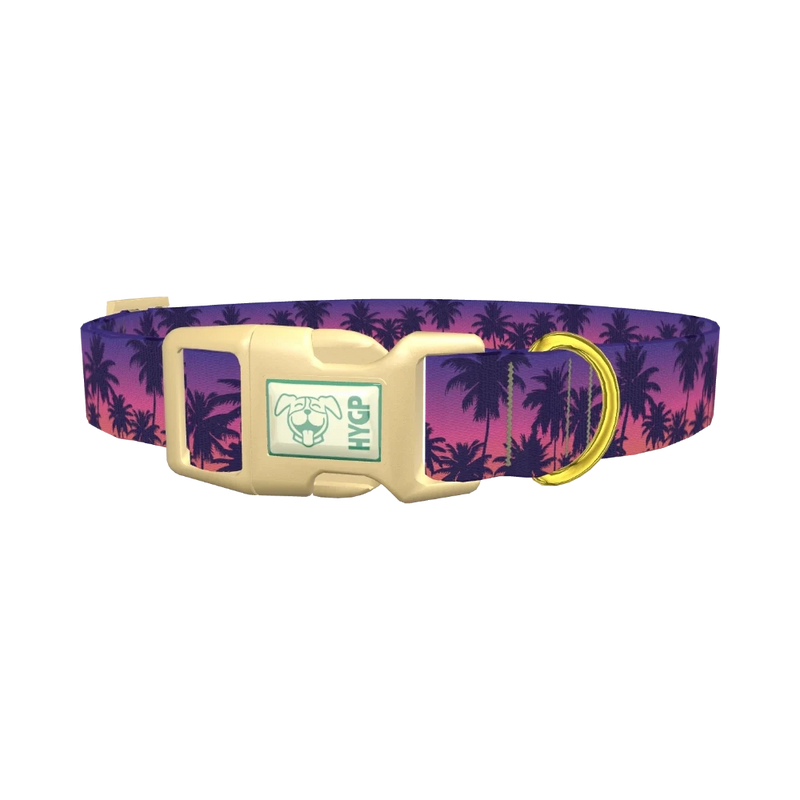 Tropical Sunset Dog Collar - plastic gold