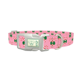 Christmas Candy Cane Dog Collar - plastic silver