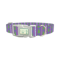 Christmas Tree Stripes Dog Collar - plastic silver