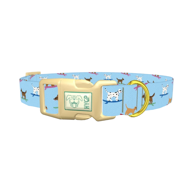 Surfing Dogs Blue Dog Collar - plastic gold