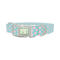 Pastel Valentine Heart Dog Collar - plastic silver