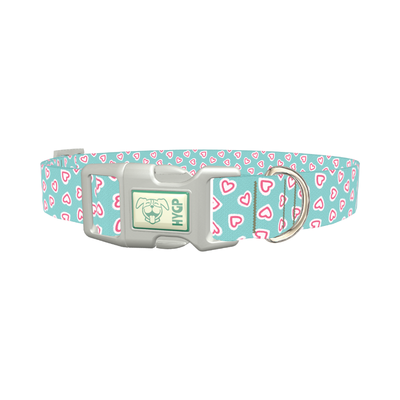 Pastel Valentine Heart Dog Collar - plastic silver