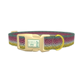 Rainbow Trout Pattern Dog Collar - plastic gold