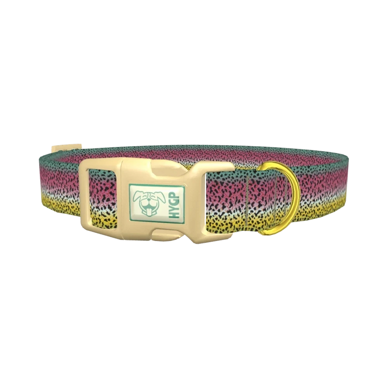 Rainbow Trout Pattern Dog Collar - plastic gold