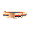 Colorful Stripe Hexagon Dog Collar - metal silver