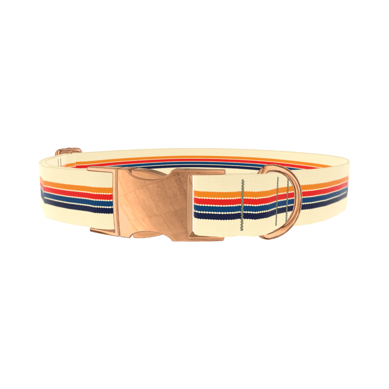 Colorful Stripe Hexagon Dog Collar - metal silver