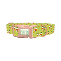 Shamrock Irish Bow Dog Collar - plastic rose gold