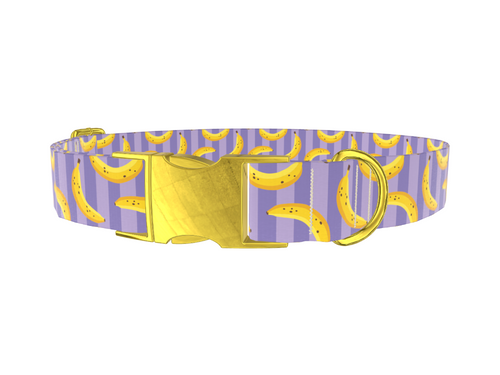 Banana Stripe Dog Collar