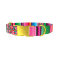 Mexican Floral Stripe Dog Collar - metal gold