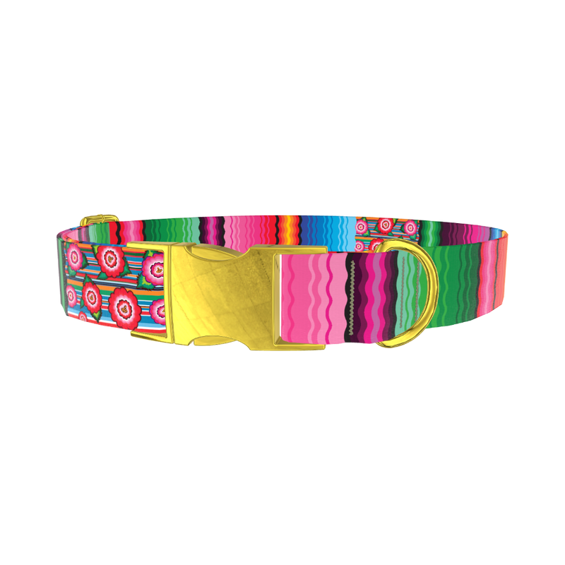 Mexican Floral Stripe Dog Collar - metal gold