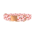 Valentine Heart Bike Dog Collar - metal rose gold