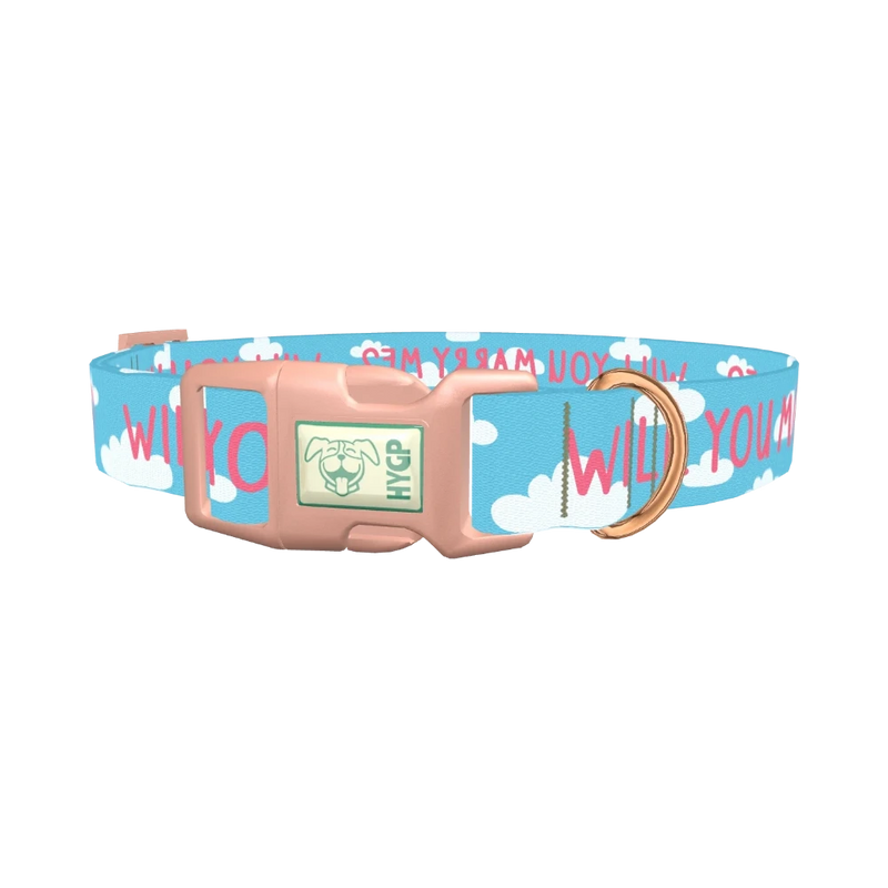 Cloud Phrase Dog Collar - plastic rose gold